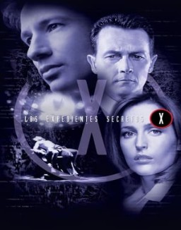 ver Expediente X - Temporada 8 online
