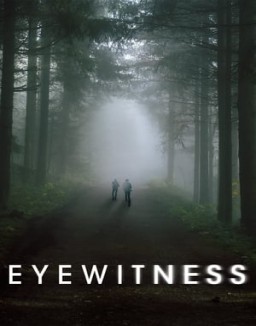 ver Eyewitness - Temporada 1 online