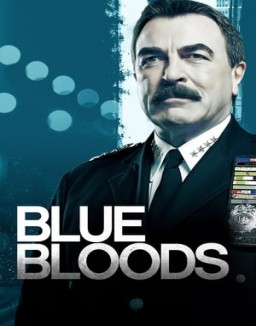 ver Familia de policías temporada 10 serie gratis