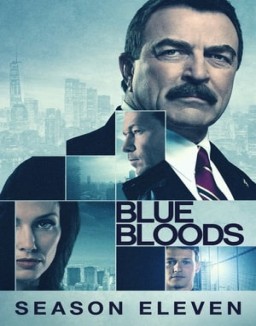 ver Familia de policías temporada 11 serie gratis