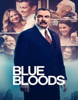 ver Familia de policías temporada 12 serie gratis