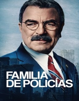 ver Familia de policías - Temporada 14 online