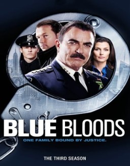 ver Familia de policías temporada 3 serie gratis