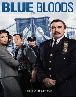ver Familia de policías temporada 6 serie gratis