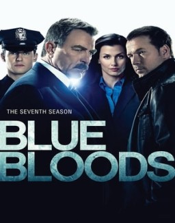 ver Familia de policías temporada 7 serie gratis