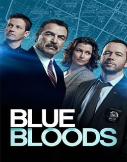 ver Familia de policías temporada 8 serie gratis