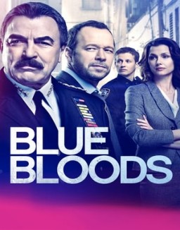 ver Familia de policías temporada 9 serie gratis