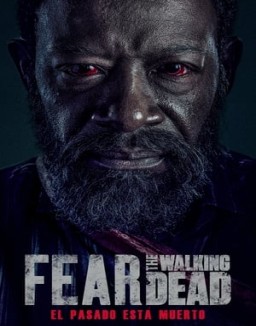 ver Fear the Walking Dead - Temporada 6 online