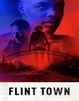 ver Flint Town - Temporada 1 online