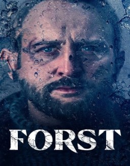 ver Forst - Temporada 1 online