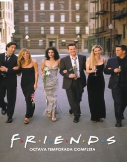 ver Friends - Temporada 8 online