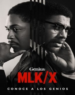 ver Genius - Temporada 4 online