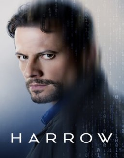 ver Harrow - Temporada 1 online