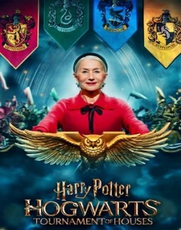 ver Harry Potter: El Torneo de las Casas de Hogwarts - Temporada 1 online