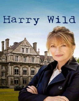 ver Harry Wild - Temporada 1 online