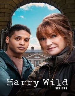 ver Harry Wild temporada 2 serie gratis