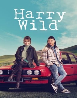 ver Harry Wild - Temporada 3 online