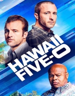 ver Hawaii Five-0 - Temporada 9 online