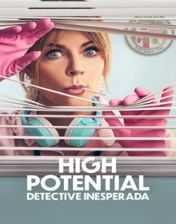 ver High Potential - Temporada 1 online