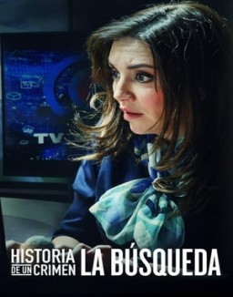 ver Historia de un crimen: la búsqueda - Temporada 1 online