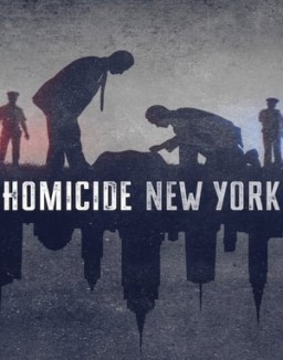 ver Homicidio - Temporada 1 online