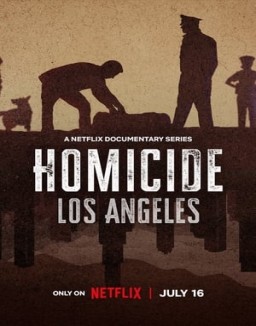 ver Homicidio - Temporada 2 online