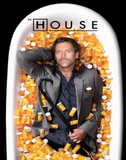 ver House - Temporada 4 online