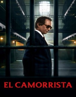 ver Il camorrista - Una serie di Giuseppe Tornatore - Temporada 1 online