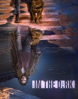 ver In the Dark - Temporada 2 online