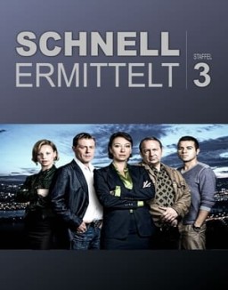 ver Intuición criminal - Temporada 3 online
