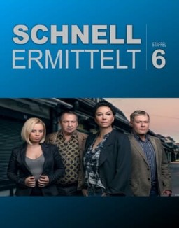 ver Intuición criminal - Temporada 6 online