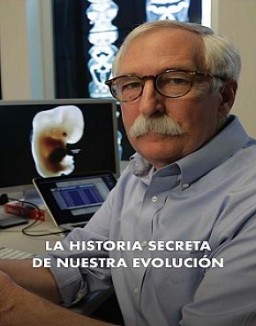 ver La historia secreta de nuestra evolucion - Temporada 1 online