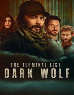 ver La lista final: Lobo negro - Temporada 1 online