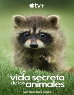ver La vida secreta de los animales - Temporada 1 online