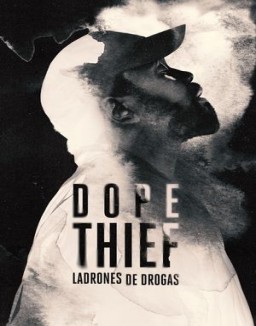ver Ladrones de drogas - Temporada 1 online