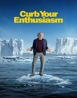 ver Larry David temporada 1 serie gratis