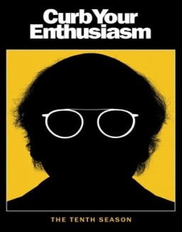 ver Larry David temporada 10 serie gratis