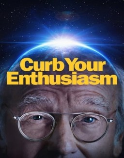 ver Larry David temporada 11 serie gratis