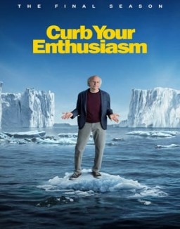 ver Larry David - Temporada 12 online