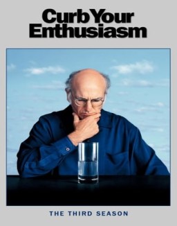 ver Larry David temporada 3 serie gratis