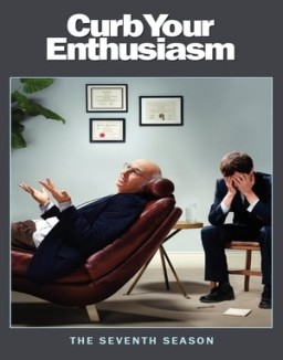ver Larry David temporada 7 serie gratis