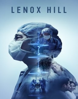 ver Lenox Hill - Temporada 1 online