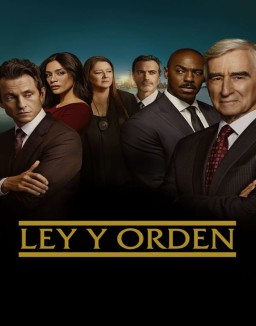 ver Ley y orden (1990) (Law & Order) - Temporada 25 online