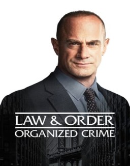 ver Ley y orden: Crimen organizado - Temporada 2 online