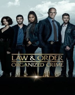ver Ley y orden: Crimen organizado - Temporada 3 online