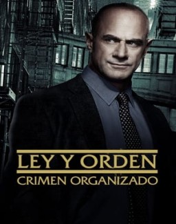 ver Ley y orden: Crimen organizado - Temporada 4 online