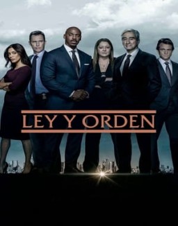 ver Ley y orden - Temporada 1 online