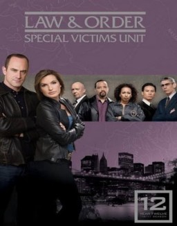 ver Ley y orden: Unidad de Víctimas Especiales - Temporada 12 online