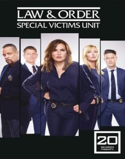 ver Ley y orden: Unidad de Víctimas Especiales - Temporada 20 online