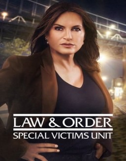ver Ley y orden: Unidad de Víctimas Especiales - Temporada 22 online